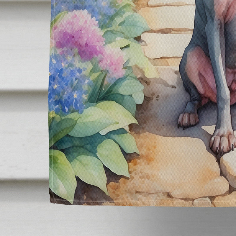 American Hairless Terrier Spring Path House Flag