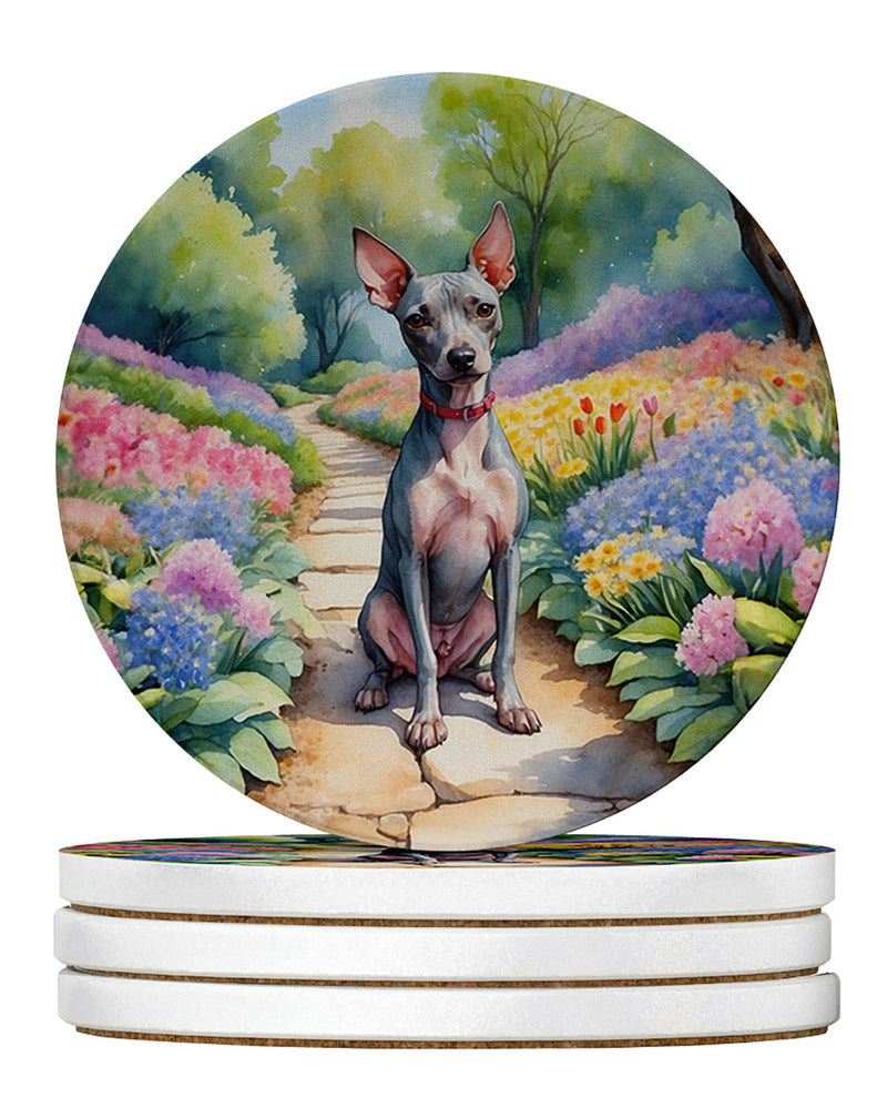 American Hairless Terrier Spring Garden Large Sandstone Coasters Pack of 4