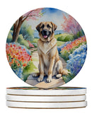 Anatolian Shepherd Spring Garden Large Sandstone Coasters Pack of 4
