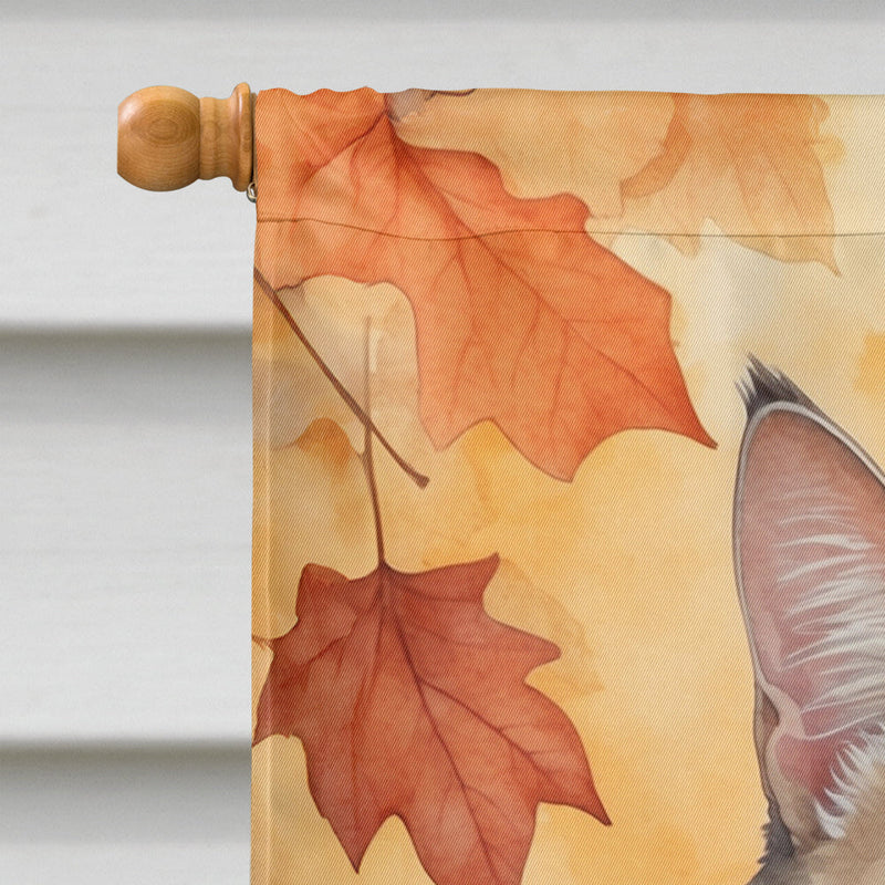 American Bobtail Cat in Fall Leaves House Flag