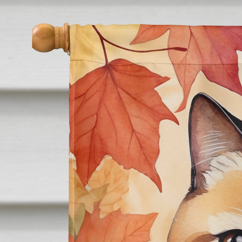 Exotic Shorthair Cat in Fall Leaves House Flag
