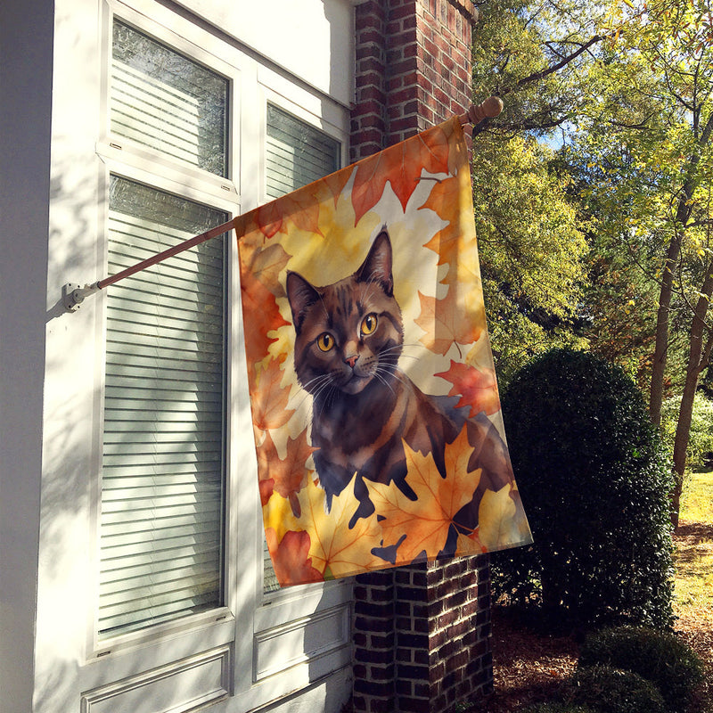 York Chocolate Cat in Fall Leaves House Flag