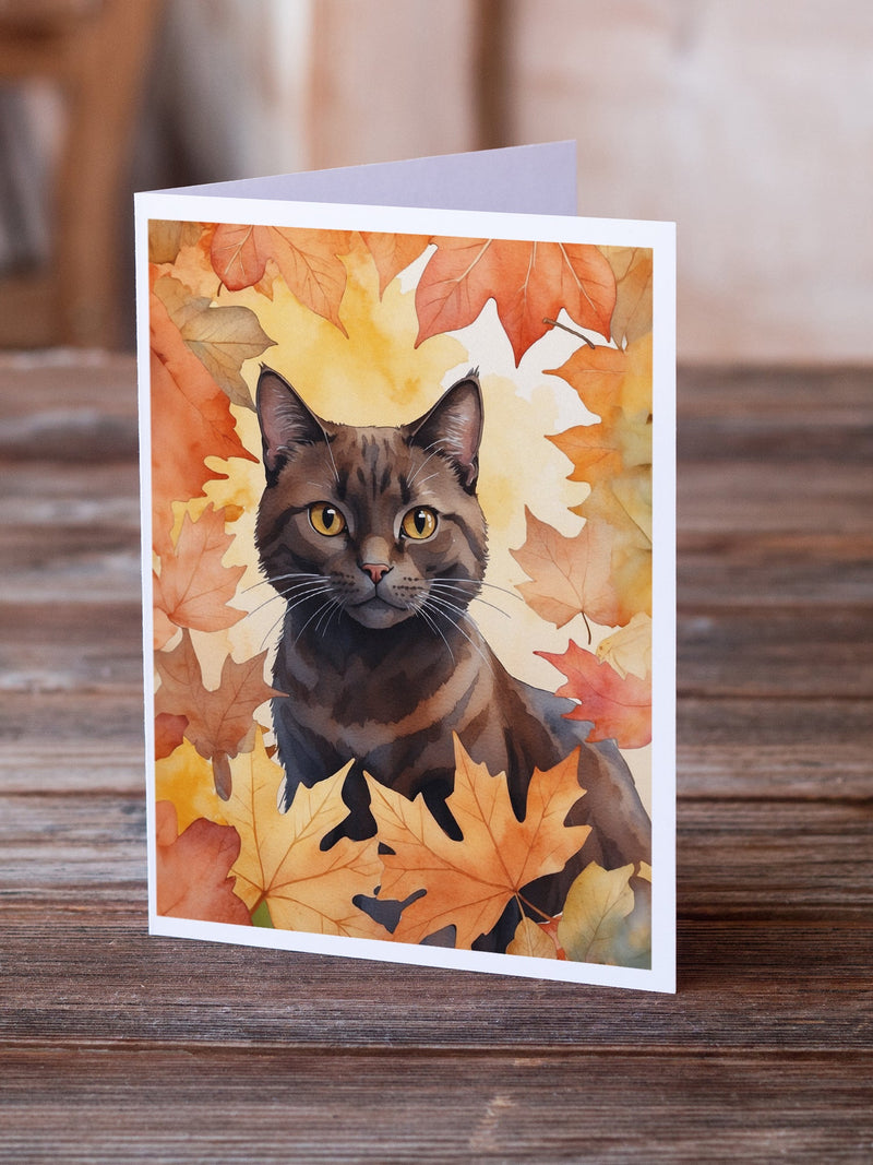 York Chocolate Cat in Fall Leaves Greeting Cards Pack of 8