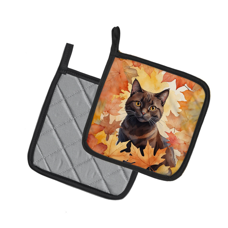 York Chocolate Cat in Fall Leaves Pair of Pot Holders