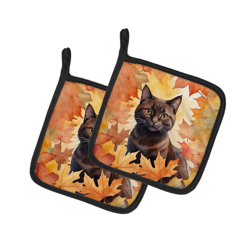 York Chocolate Cat in Fall Leaves Pair of Pot Holders