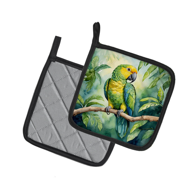 Yellownaped Amazon Parrot Pair of Pot Holders