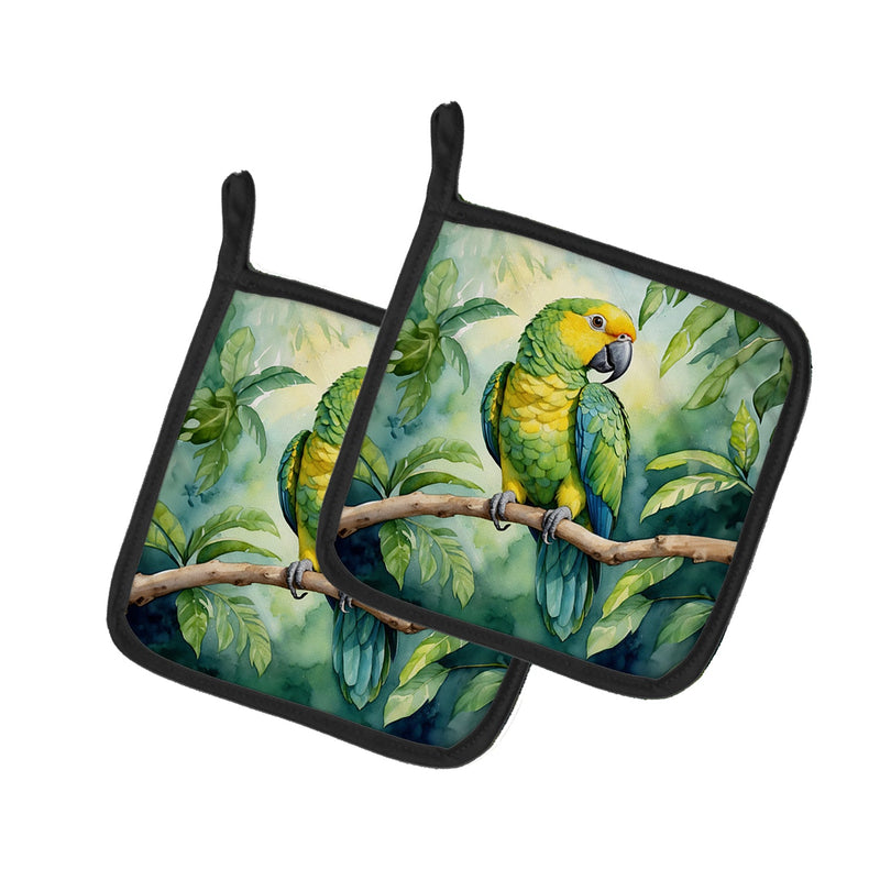 Yellownaped Amazon Parrot Pair of Pot Holders