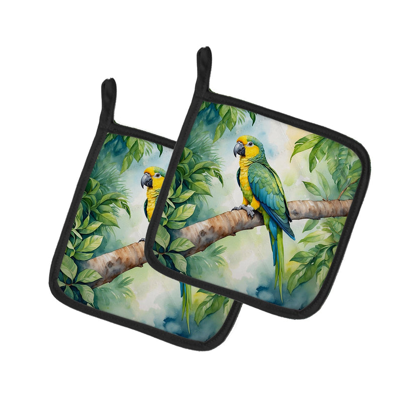 Yellownaped Amazon Parrot Pair of Pot Holders