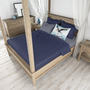 Black Skimmer Standard Pillowcase – Artistic Decorative Front, White Back