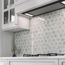 White Gray 10x12 Polished Hexagon Bianco Carrara Thassos Marble Mosaic Tile (5 pack, 4.34 sq ft/case)