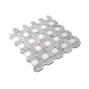 White Gray 12x12 Polished Multi-shaped Thassos Bianco Carrara Marble Mosaic Tile (5 pack, 5.17 sq ft/case)