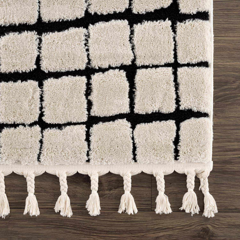 Teshi Checkered Area Rug