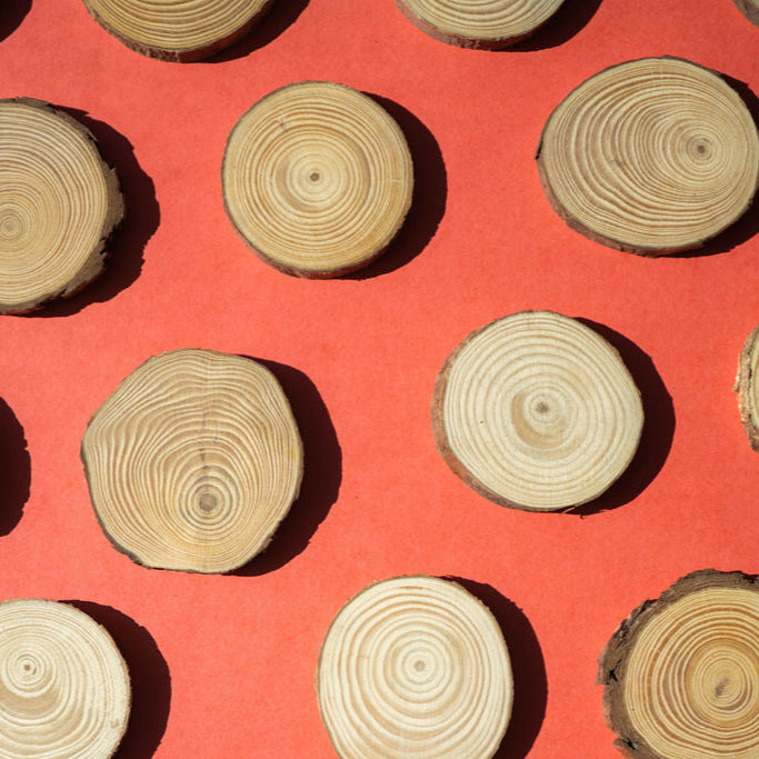 Winter Wood Slice Wreath Kit, photo 3 of 7