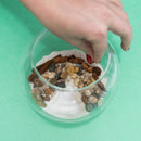 Resin Terrarium Kit