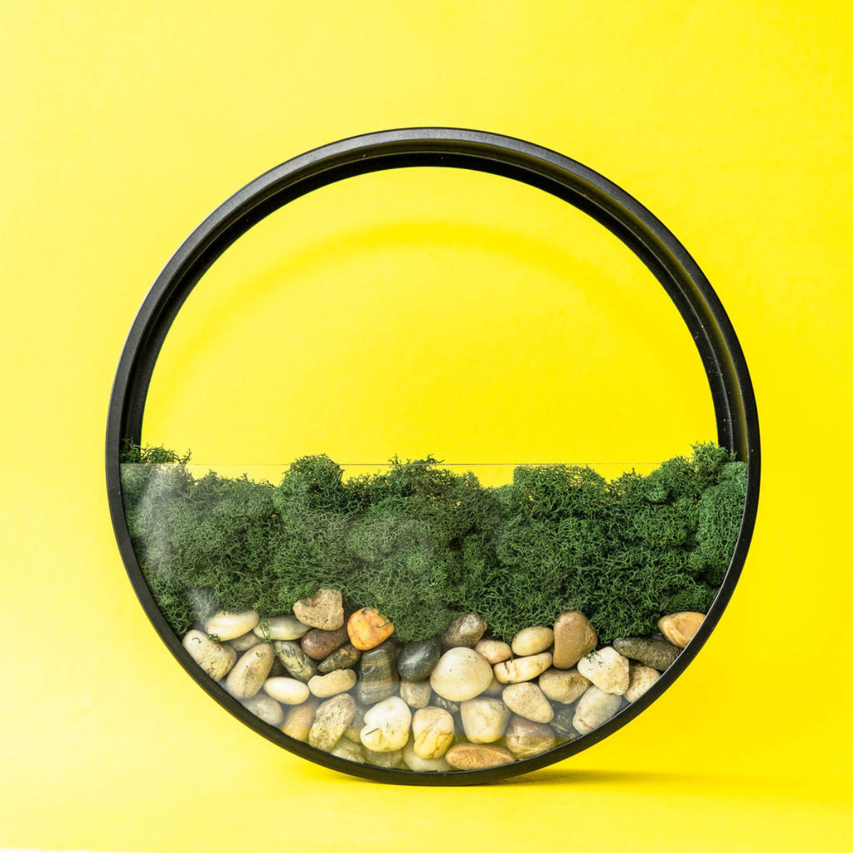 Wall Terrarium Kit, photo 5 of 8