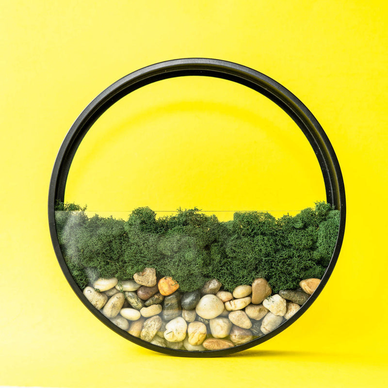 Wall Terrarium Kit, photo 5 of 8