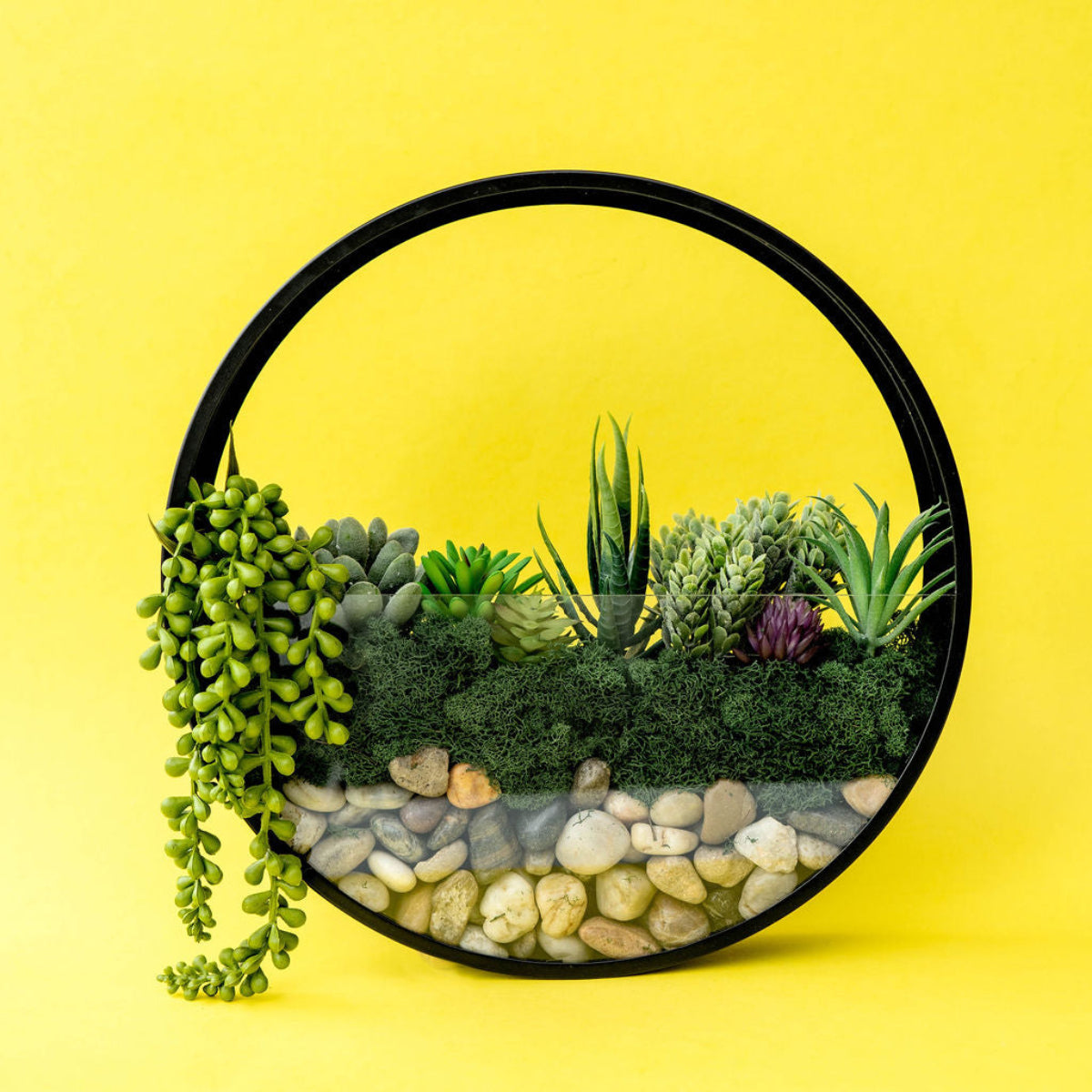 Wall Terrarium Kit, photo 6 of 8