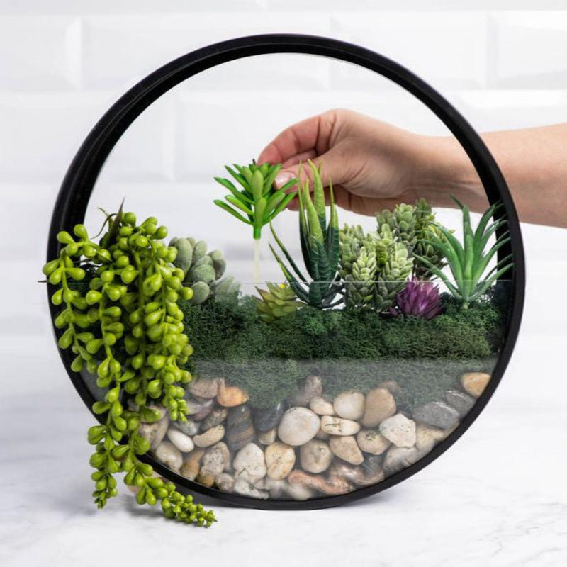 Wall Terrarium Kit, photo 7 of 8
