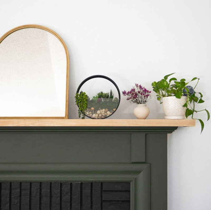Wall Terrarium Kit, photo 8 of 8