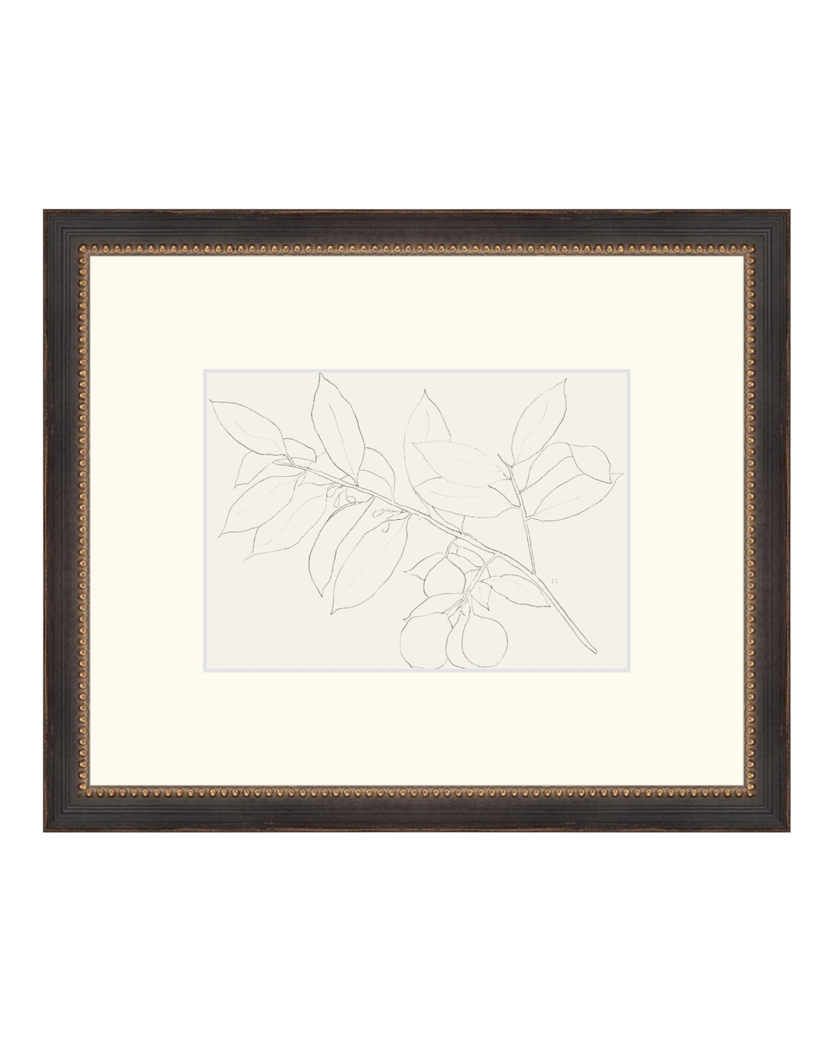Lemon Branch Drawing, photo 27 of 42