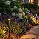 DL03 12V AC/DC Aluminum Low Voltage Landscape Lighting Mushroom Path Light