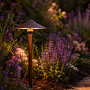 DL03 12V AC/DC Aluminum Low Voltage Landscape Lighting Mushroom Path Light