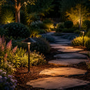 DL03 12V AC/DC Aluminum Low Voltage Landscape Lighting Mushroom Path Light