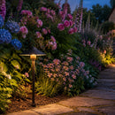 DL03 12V AC/DC Aluminum Low Voltage Landscape Lighting Mushroom Path Light