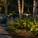 DL03 12V AC/DC Aluminum Low Voltage Landscape Lighting Mushroom Path Light