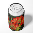 Amaryllis by Neil Drury Can or Bottle Hugger DND0091CC
