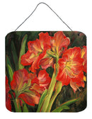 Amaryllis by Neil Drury Wall or Door Hanging Prints DND0091DS66