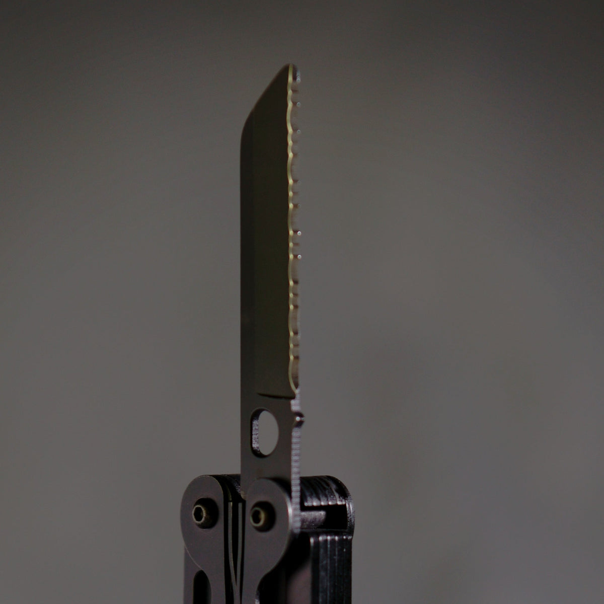 Serrated Blade, photo 3 of 3