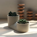 Double Planter