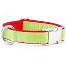 Lime Green/Red Holiday Velvet Essential Buckle Martingale Dog Collar