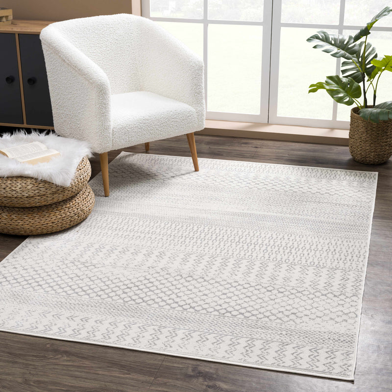 Tigri Aztec Ivory & Gray 2318 Area Rug - Clearance