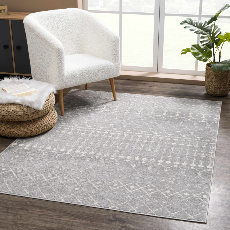 Tigrican Light Gray 2334 Area Rug