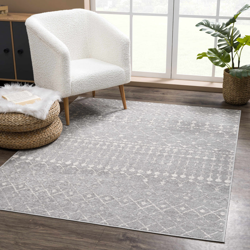 Tigrican Light Gray 2334 Area Rug - Promo