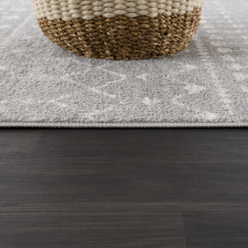 Tigrican Light Gray 2334 Area Rug - Promo