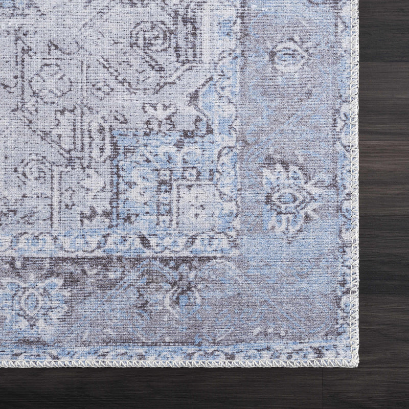 Aqua Rosman Washable Runner & Area Rug