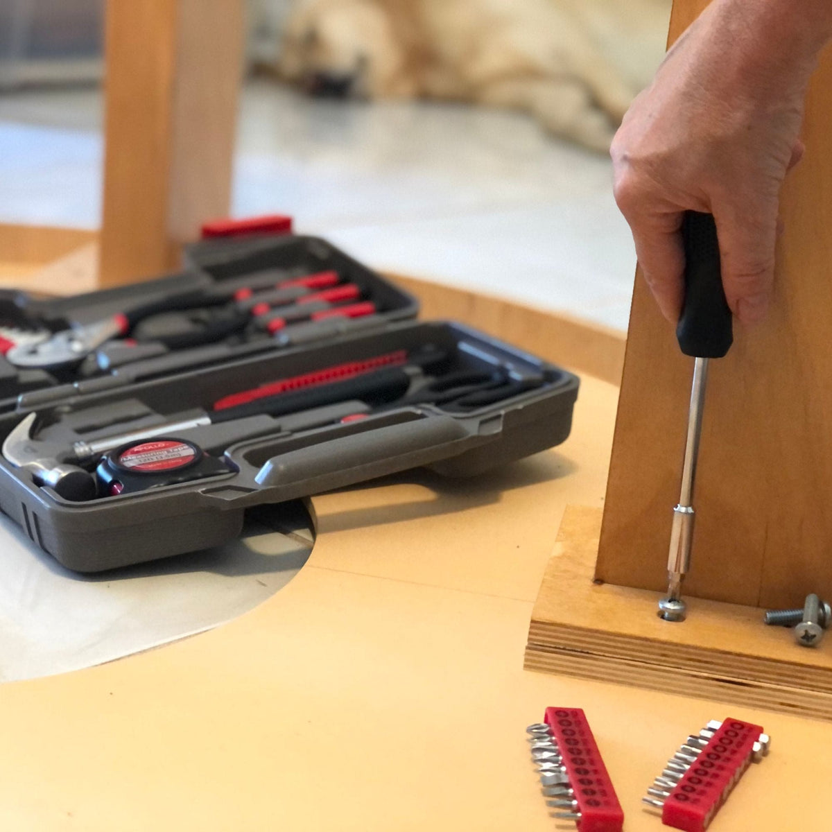 39 Piece General Tool Set - DT9706, installed in a room