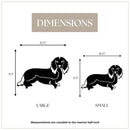 Dachshund - Longhaired