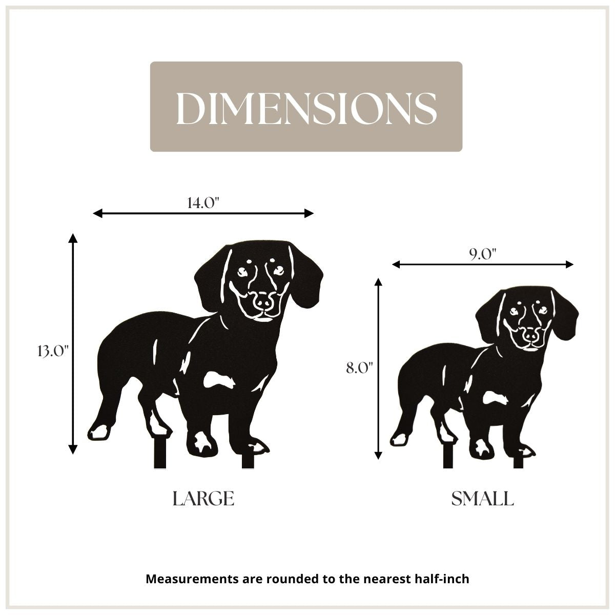 Dachshund - Shorthaired, photo 4 of 17