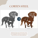 Dachshund - Shorthaired