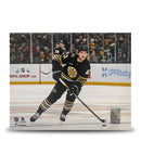 Danton Heinen in Action Boston Bruins 8" x 10" Hockey Photo by Dynasty Sports & Framing