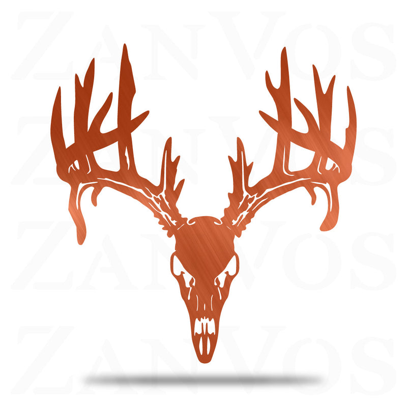 Deer Skull