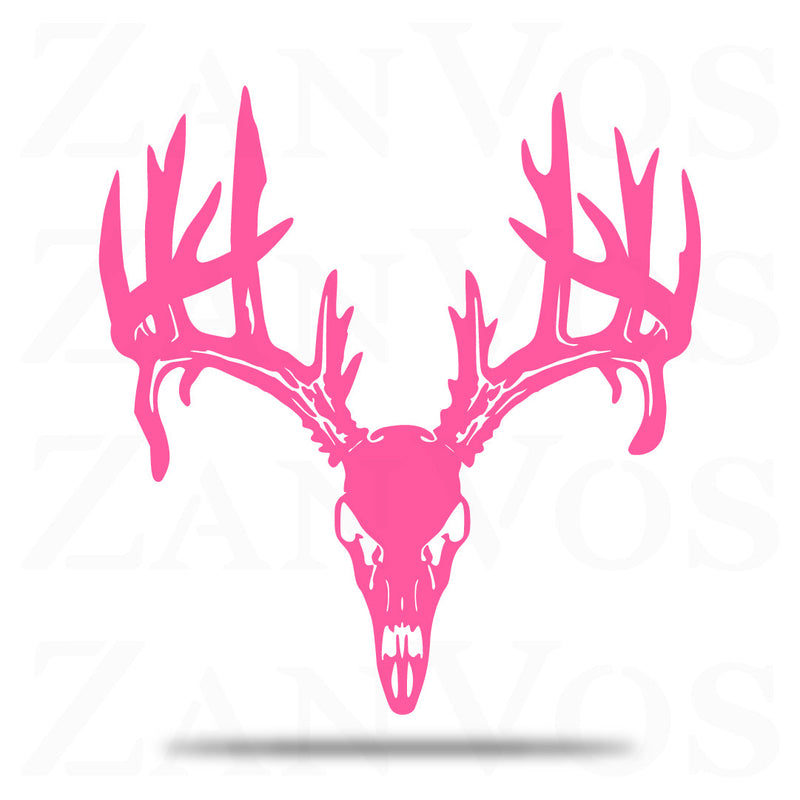 Deer Skull