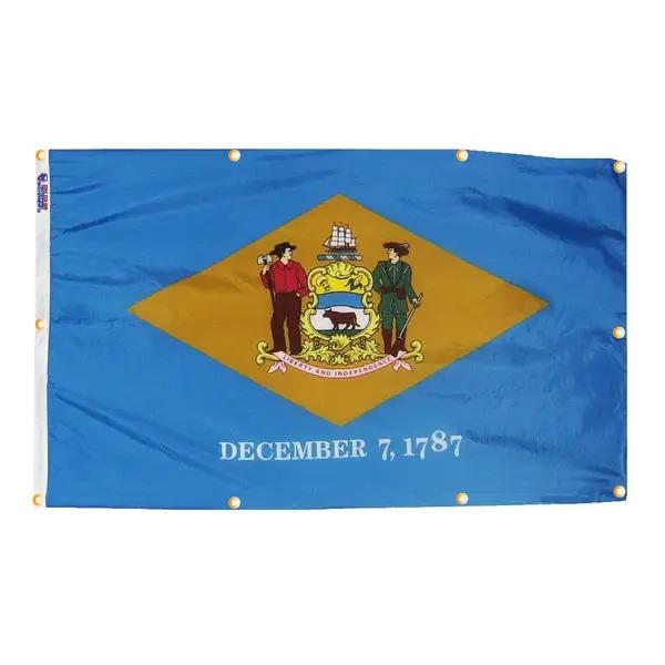 Delaware Flag with Grommets Along the Edges for Wall Hanging, photo 5 of 5