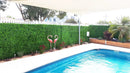 Sample Panel – Bright Boxwood Green Wall (Small Sample) by Designer Plants USA