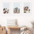 Set of 3 Southwestern Desert Prints. Joshua Tree, Camel, Van by Wall Art Set