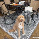 Diah Black & Bone Area Rug - Clearance